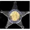 IDAHO STATE POLICE BADGE PIN